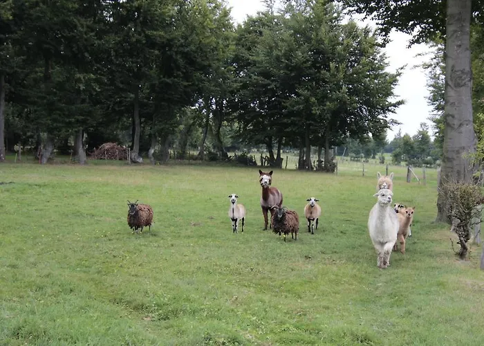 Apartment Margot Simmerath