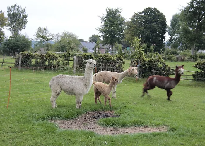 Apartamento Margot *